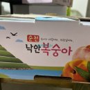 낙안청과