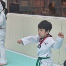 부산TIA태권도 이미지