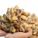 연지길 | 감기약 대신 대추생강차? 의사도 추천하는 이유