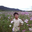 임진강나루 이미지