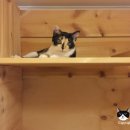 호텔가온 이미지