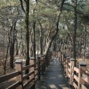 봉화산2농장 이미지