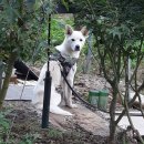 소구월사거리 이미지