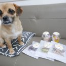 짱이네새참 이미지