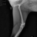 블루동물종합병원 이미지