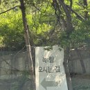 녹림 | 남양주버터떡으로 유명한 평내카페 "녹림", 블루베리 케이크 후기