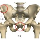 다이어트존 이미지