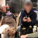 나따오비까(대치점) 이미지