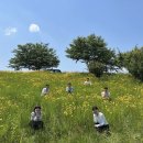 강태오 카카오 검색결과