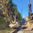 신효동-25 이미지