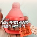 모윰 이지팝 과즙망 큐브 후기 9개월 아기 과일 간식 육아템