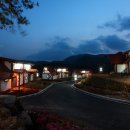 보성녹차리조트 이미지