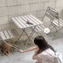 퍼피하우스 이미지