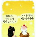 파요 이미지