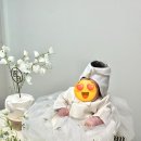 예쁜 백일상 대여 후기✨ 하루애담 퓨어화이트 셀프백일상 완벽 준비!