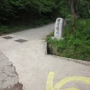 광양공설운동장 Daum카페
