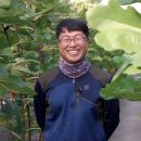 고건농장 이미지