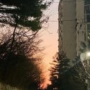 제천시민공원 이미지