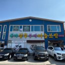 [광주] 본촌동 든든한 한 끼 가능한 부세마늘보쌈집, 본가상무부세마늘보쌈 내돈내산 솔직후기!