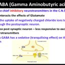 GABA 보충제의 기능 탐구 - 잠못 이루는 불면증 환자를 위하여 이미지