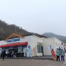 엘리시안강촌스키투데이렌탈샵 이미지