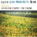 구미 해바라기축제 이미지