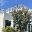 다금한식 | [영천맛집] 경북영천맛집 대창면 '다금'에서 부모님과 점심 한 끼 뚝딱 솔직 후기