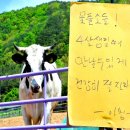 달뜨는마을 이미지