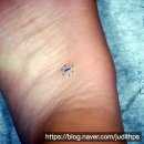 유디트의원 이미지