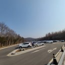 덕진동-12(동물원) 이미지