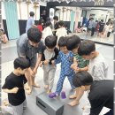 도마효태권도장 이미지