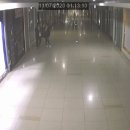 부산 커플 쌍방 폭행 CCTV.gif 이미지