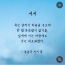 지에스25다가그랑블점 | 나의 9월