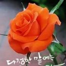 2026/8/26(수) 출석방 이미지