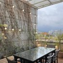 라엘한의원 이미지