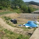 구산면556 이미지