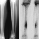 더바른핏 이미지