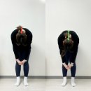 포레스트 스튜디오 네이버블로그