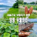 서울근교 당일치기 양평 두물머리 쏘카 여행