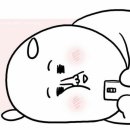 샤브라이브 이미지