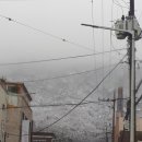 경화벚꽃한의원 이미지