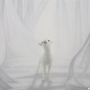 antic and  이미지