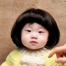 여의도 엘림스튜디오(엘블리스튜디오) 못난이인형 컨셉 사진 후기