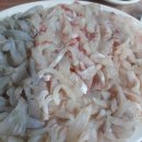 중앙카 이미지