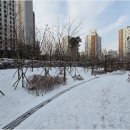 시립영통자이어린이집 이미지