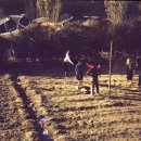 부산YWCA(여자기독교청년회) 이미지