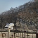 상춘가 이미지