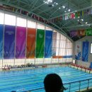 남부대학교에서 수영대회 관람.. 이미지