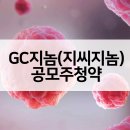 지씨 이미지