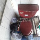 망월길 Daum카페